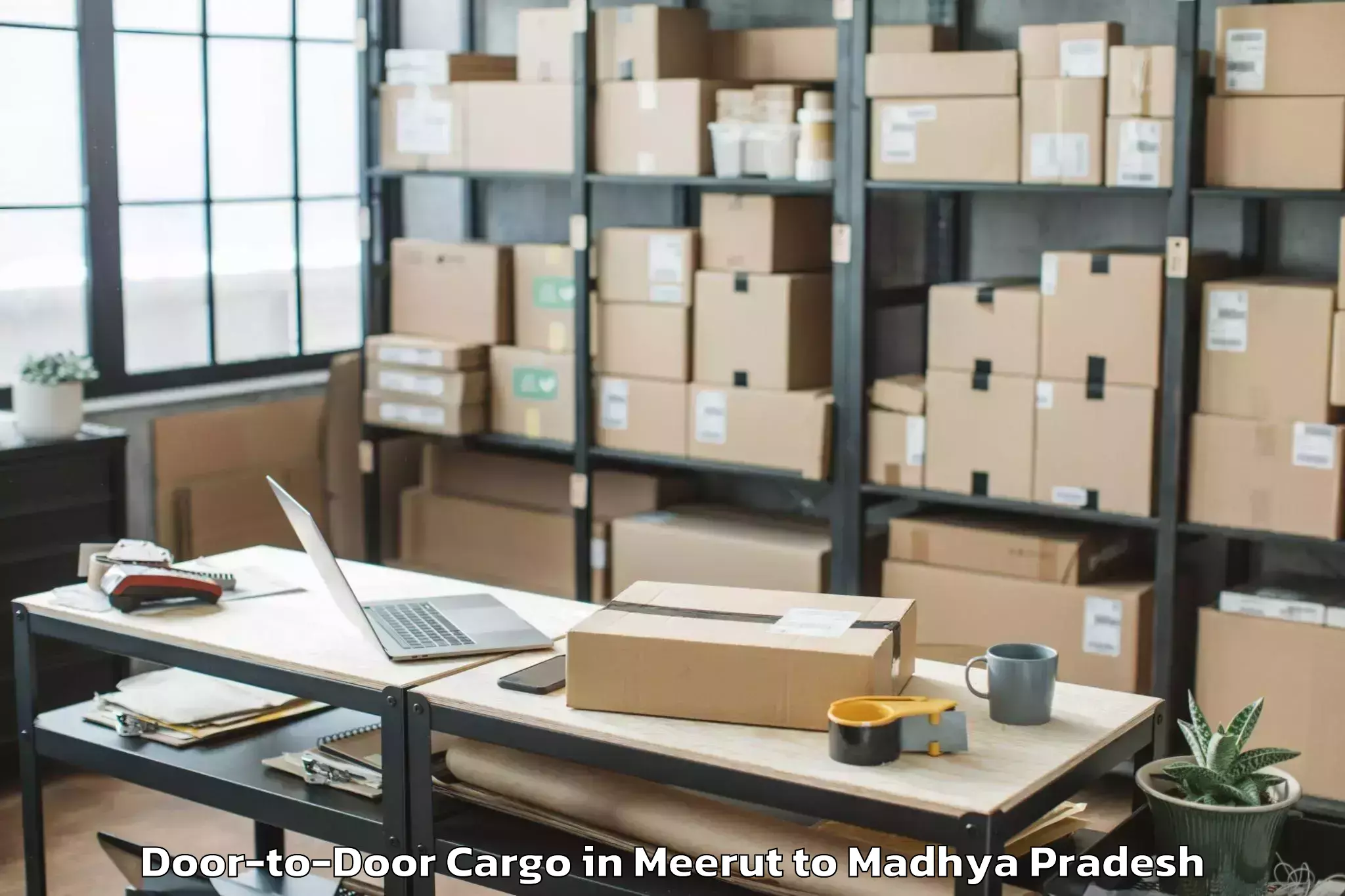 Top Meerut to Bina Door To Door Cargo Available